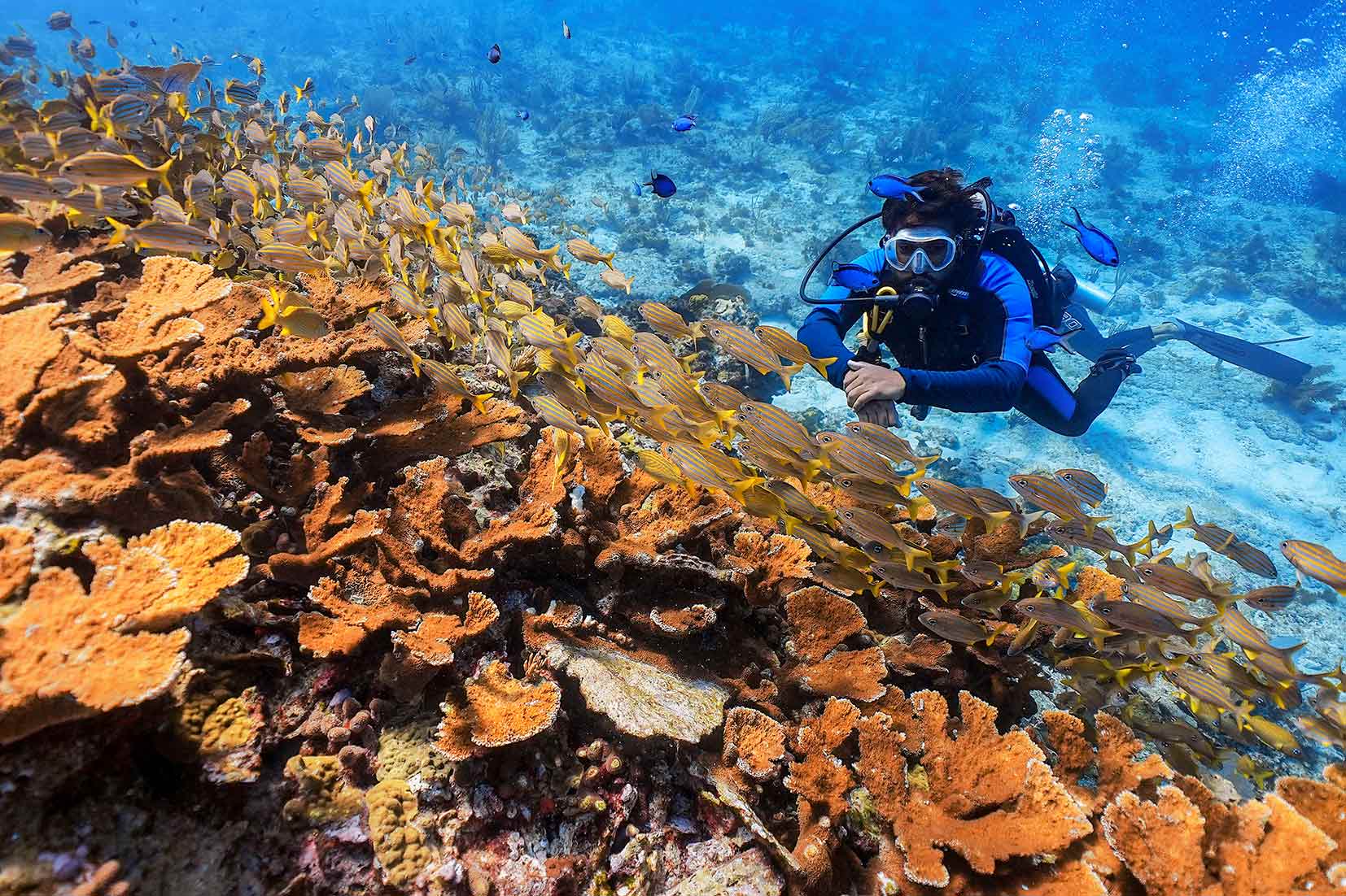 Underwater Museum Musa & Manchones Reef 2 Tanks