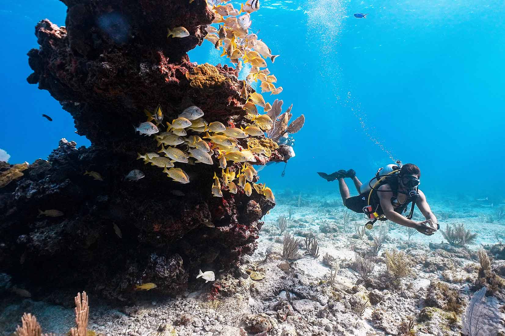Snorkel at Underwater Museum Musa & Manchones Reef