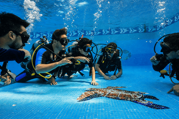 Scuba Discovery