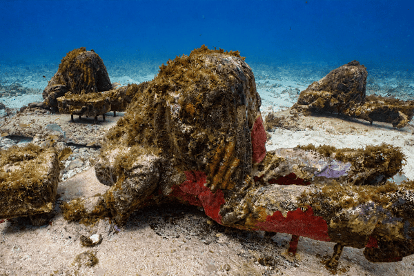 Snorkel at Underwater Museum Musa & Manchones Reef