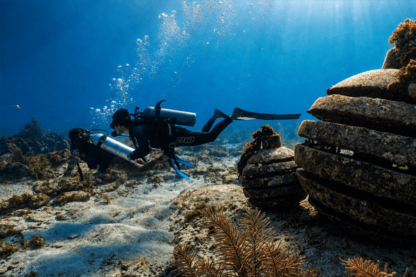 Manchones Reef 1 Tank