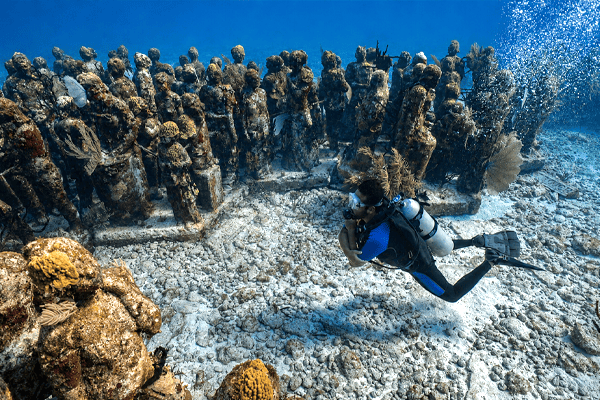 Open Water