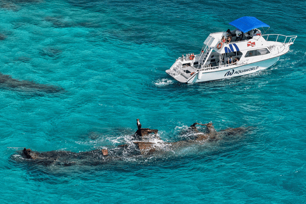 Snorkel Expedition