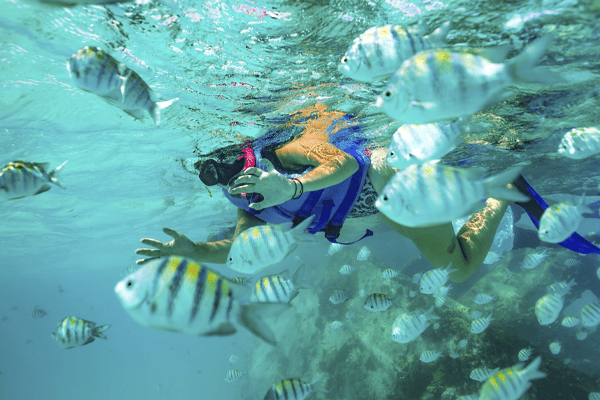 Snorkel Expedition